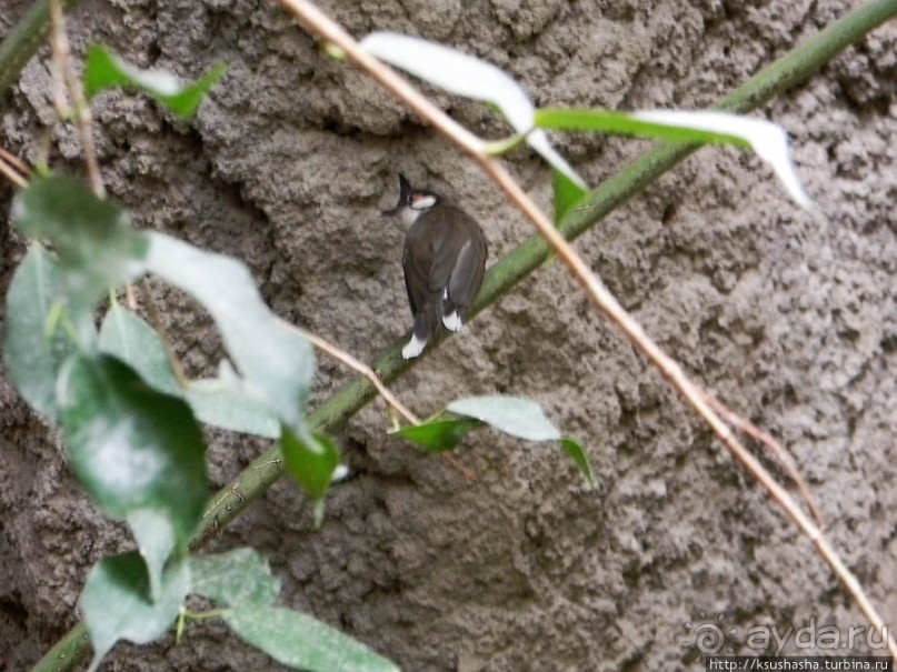 Необычная концепция зоопарка