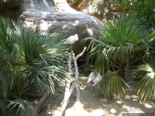 Необычная концепция зоопарка