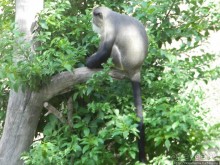 Необычная концепция зоопарка