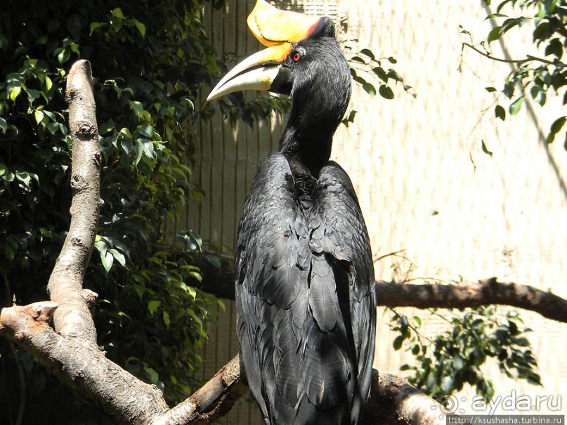 Необычная концепция зоопарка