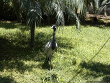 Необычная концепция зоопарка