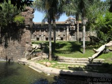 Необычная концепция зоопарка