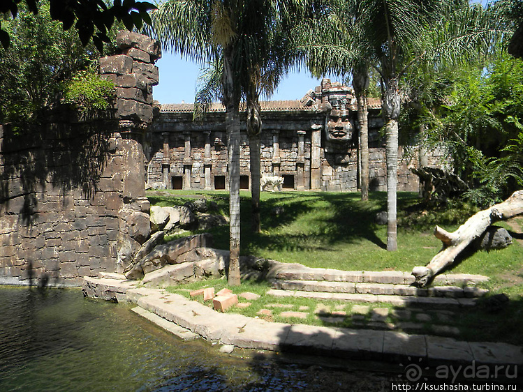 Необычная концепция зоопарка