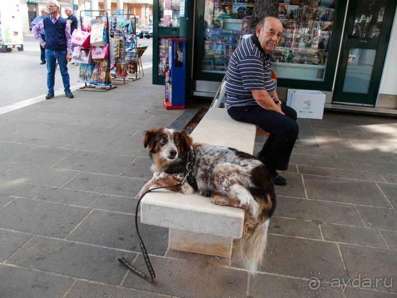 Современность и 100 церквей