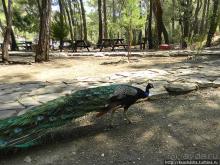 Горы в августе — не лучшая идея