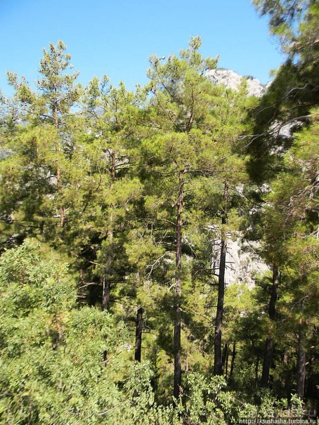 Горы в августе — не лучшая идея