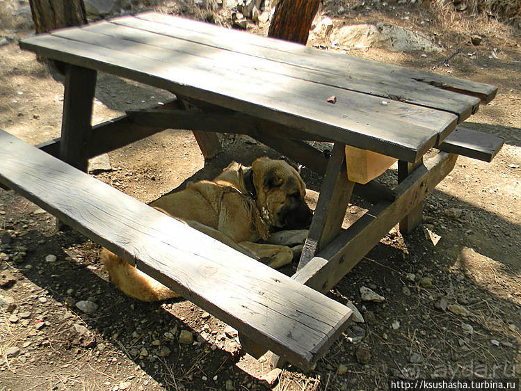 Горы в августе — не лучшая идея
