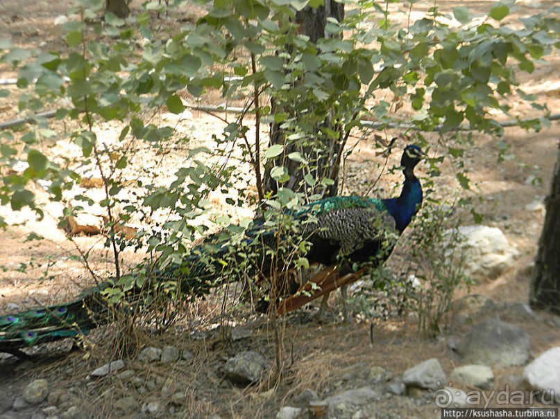 Горы в августе — не лучшая идея