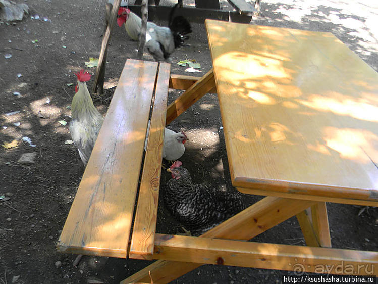 Горы в августе — не лучшая идея