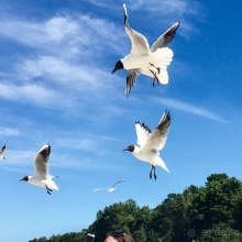 Юрмала. На морском берегу