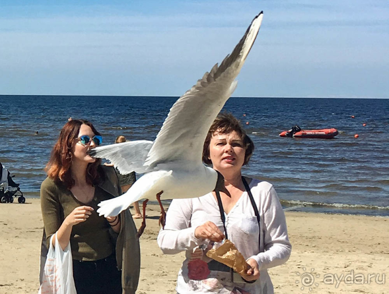 Юрмала. На морском берегу