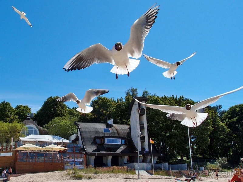 Юрмала. На морском берегу