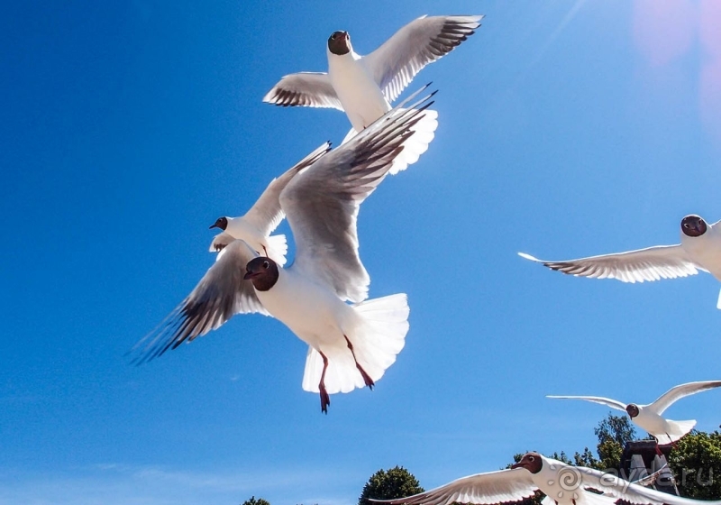 Юрмала. На морском берегу