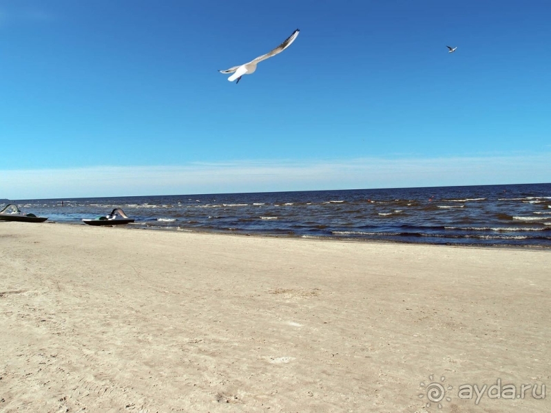 Юрмала. На морском берегу