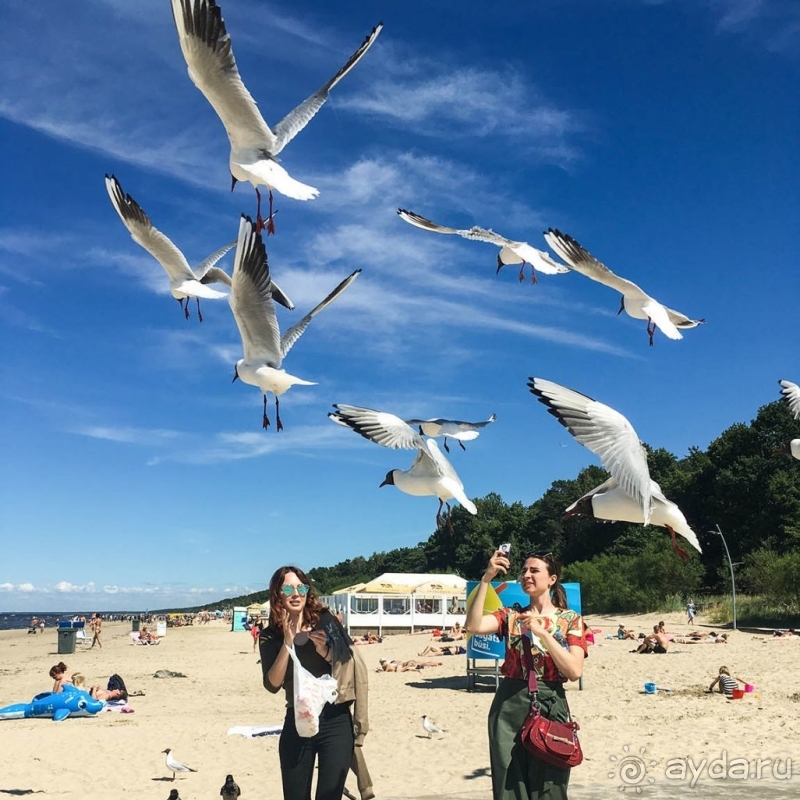 Юрмала. На морском берегу