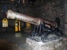 Альбом отзыва "Феникс Макрума"