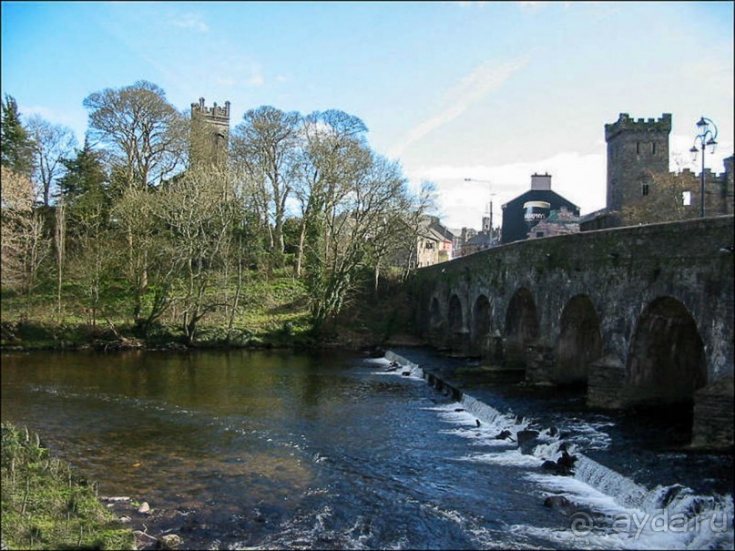 Феникс Макрума