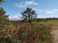 Серебряный Берег и португальская провинция
