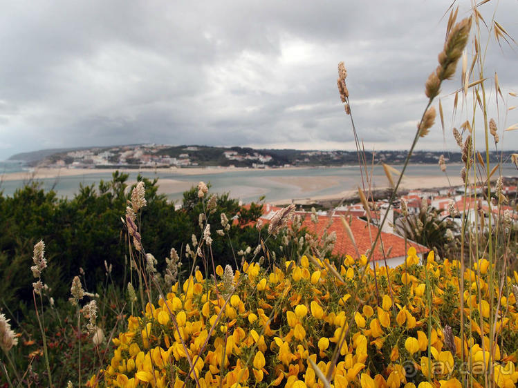Серебряный Берег и португальская провинция