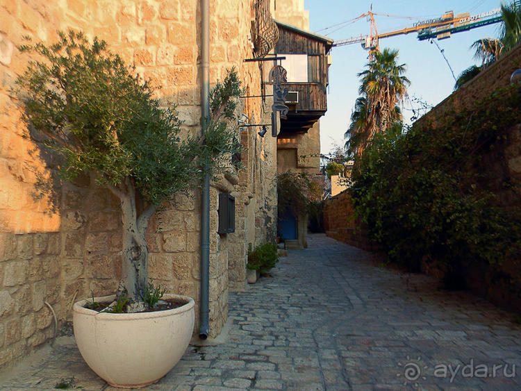 Знакомый и совсем не знакомый Яффо