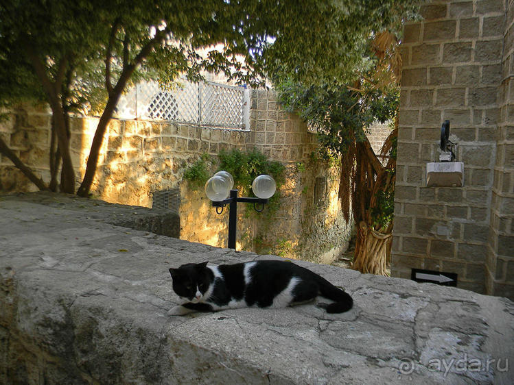 Знакомый и совсем не знакомый Яффо