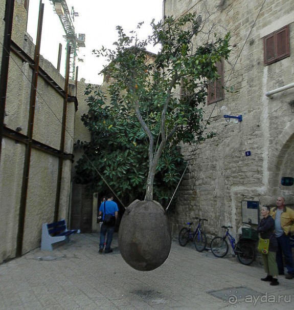 Знакомый и совсем не знакомый Яффо