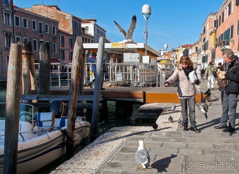 Когда Венецию не ждёшь Когда Венецию не ждёшь