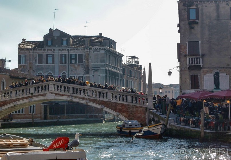 Когда Венецию не ждёшь Когда Венецию не ждёшь