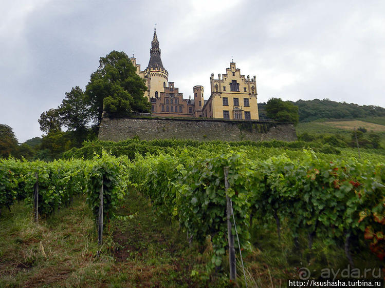 Триста шестьдесят пять окон в Году