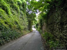 Триста шестьдесят пять окон в Году