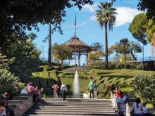 Катания Беллини