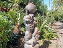 Катания Беллини