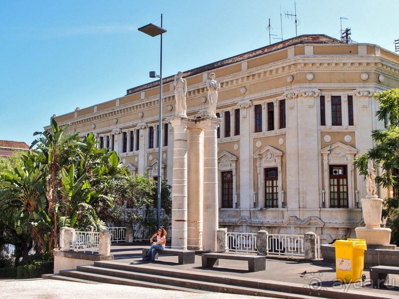 Катания Беллини