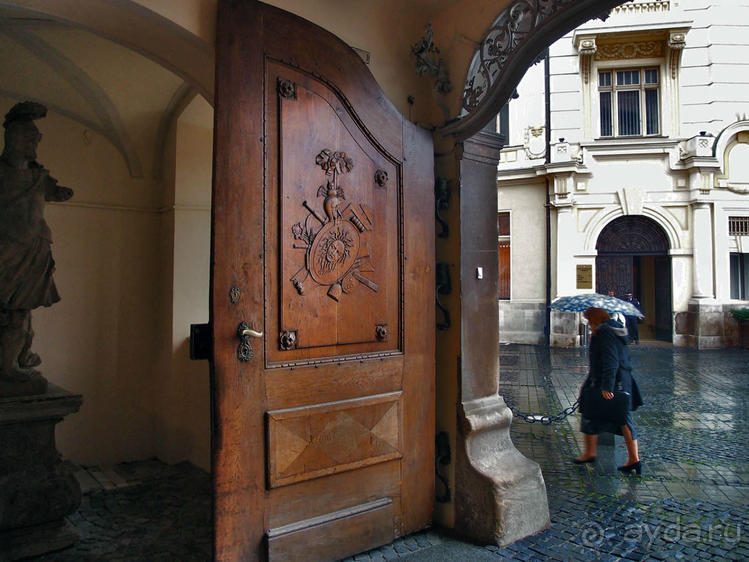 Мужские глаза Сибиу