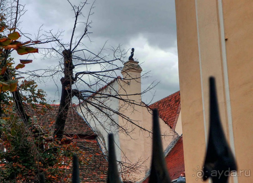 Мужские глаза Сибиу