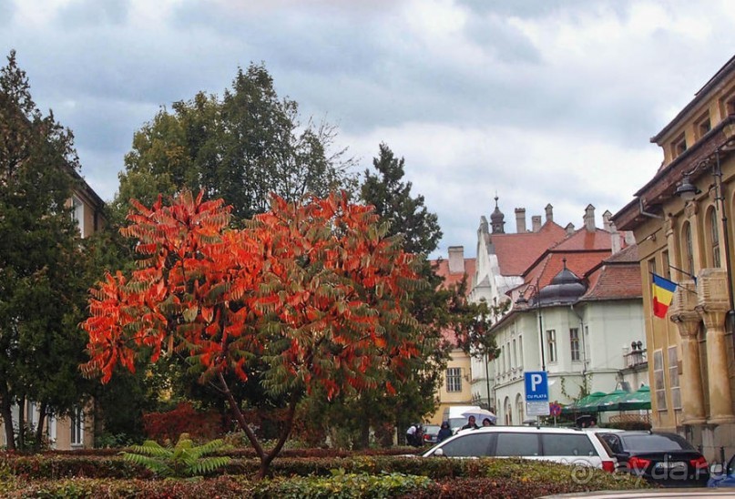 Мужские глаза Сибиу