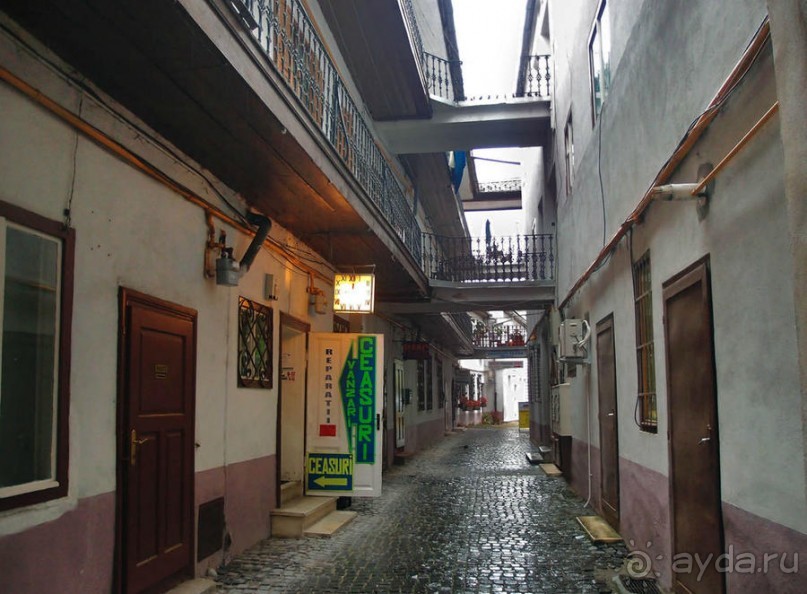 Мужские глаза Сибиу