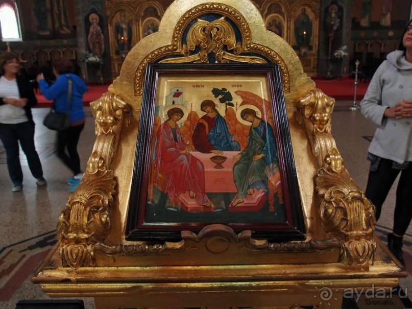 Мужские глаза Сибиу