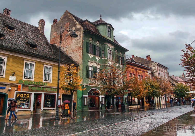 Мужские глаза Сибиу