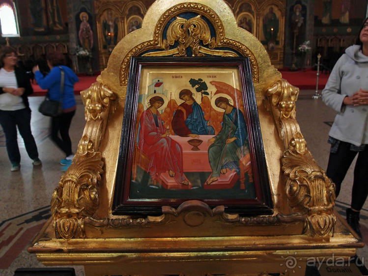 Мужские глаза Сибиу Мужские глаза Сибиу