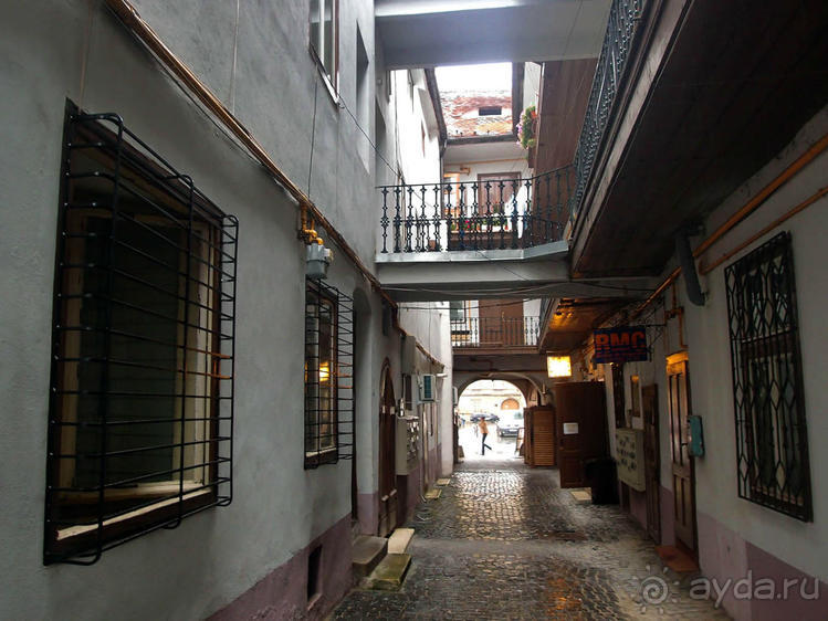 Мужские глаза Сибиу