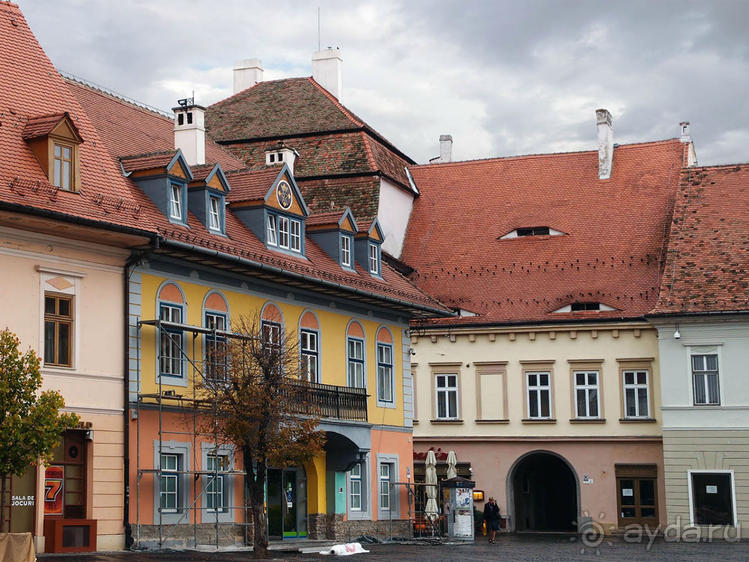 Мужские глаза Сибиу Мужские глаза Сибиу