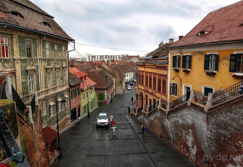 Мужские глаза Сибиу