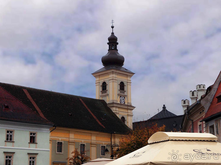 Мужские глаза Сибиу