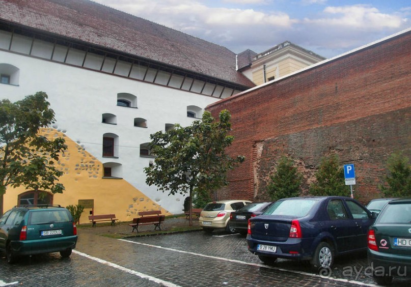 Мужские глаза Сибиу