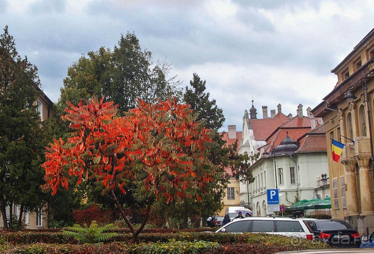 Мужские глаза Сибиу Мужские глаза Сибиу