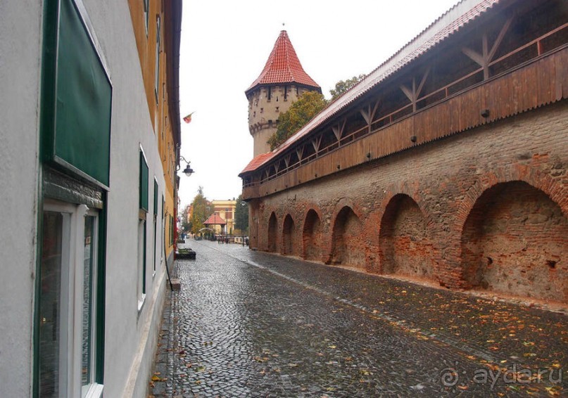 Мужские глаза Сибиу