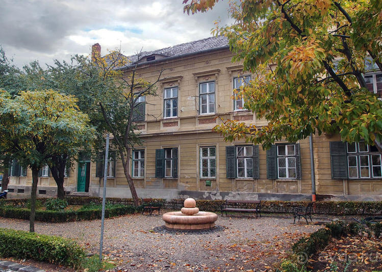 Мужские глаза Сибиу Мужские глаза Сибиу