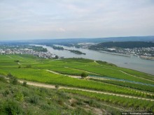 Над виноградниками Рюдесхайма