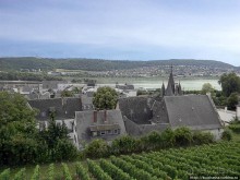 Над виноградниками Рюдесхайма